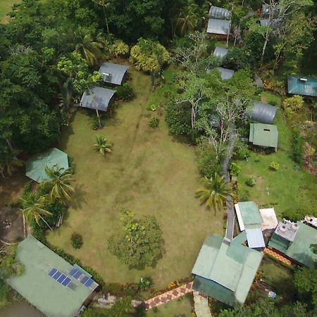 Lirio Lodge Barra de Pacuare Dış mekan fotoğraf