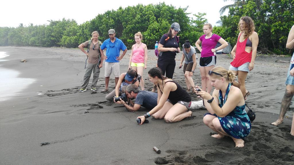 Lirio Lodge Barra de Pacuare Dış mekan fotoğraf