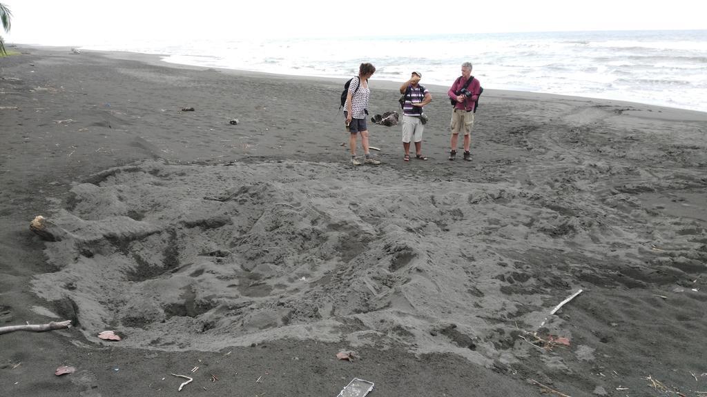 Lirio Lodge Barra de Pacuare Dış mekan fotoğraf