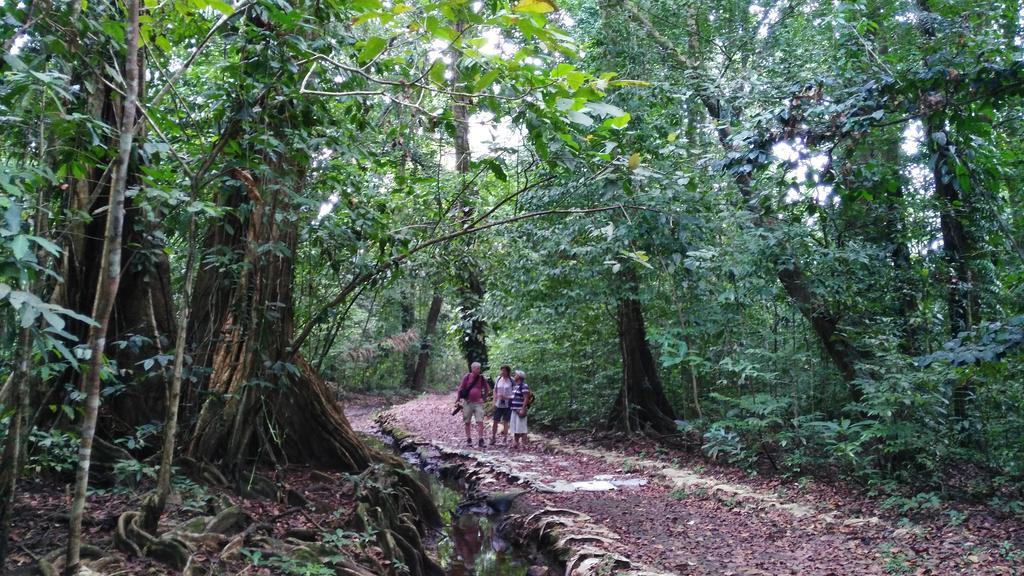 Lirio Lodge Barra de Pacuare Dış mekan fotoğraf