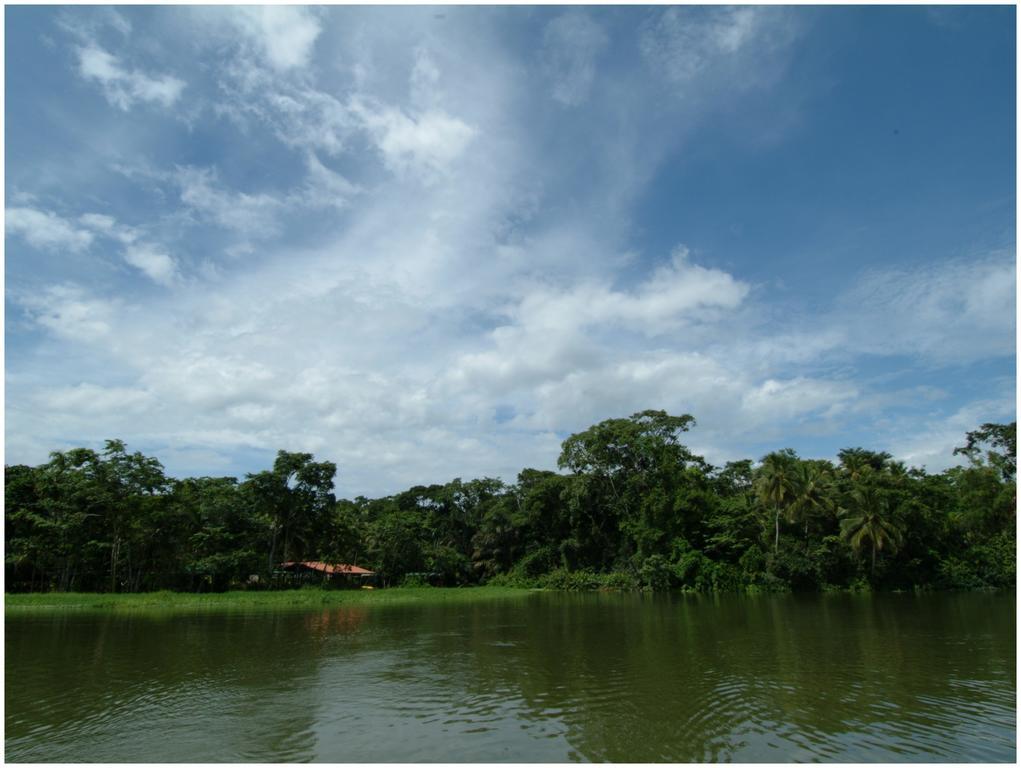 Lirio Lodge Barra de Pacuare Dış mekan fotoğraf