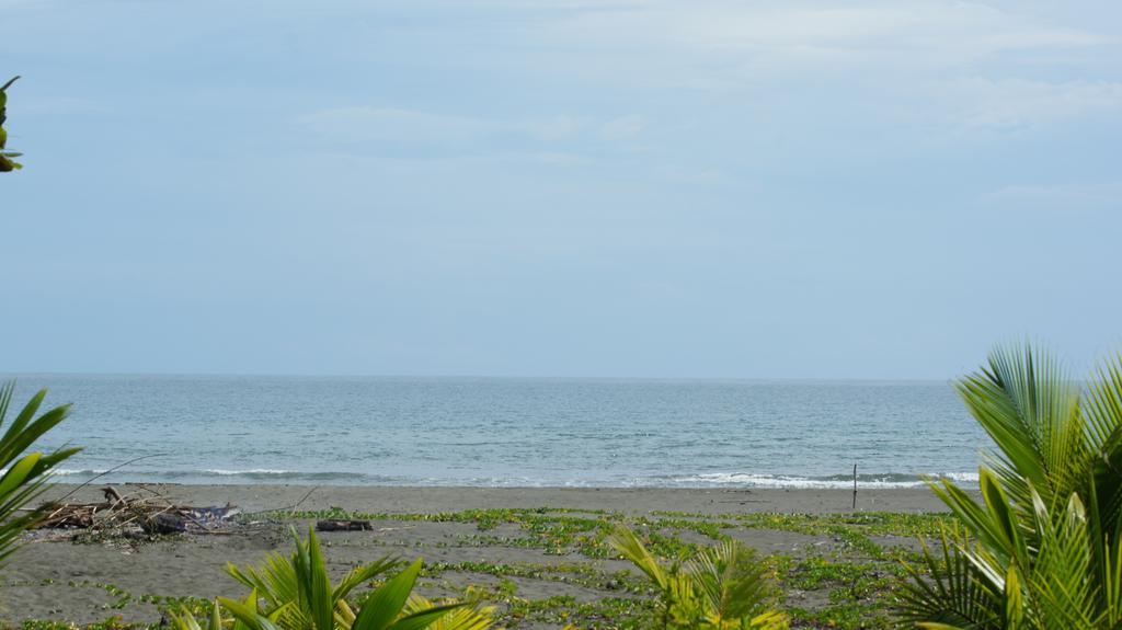 Lirio Lodge Barra de Pacuare Dış mekan fotoğraf