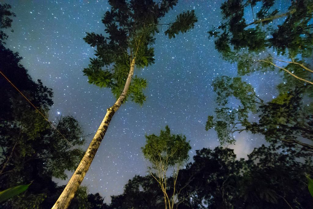 Lirio Lodge Barra de Pacuare Dış mekan fotoğraf