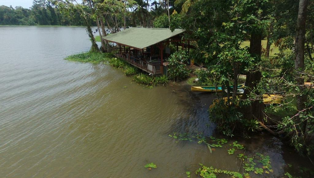 Lirio Lodge Barra de Pacuare Dış mekan fotoğraf