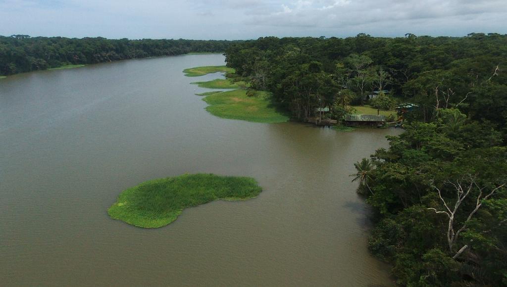 Lirio Lodge Barra de Pacuare Dış mekan fotoğraf