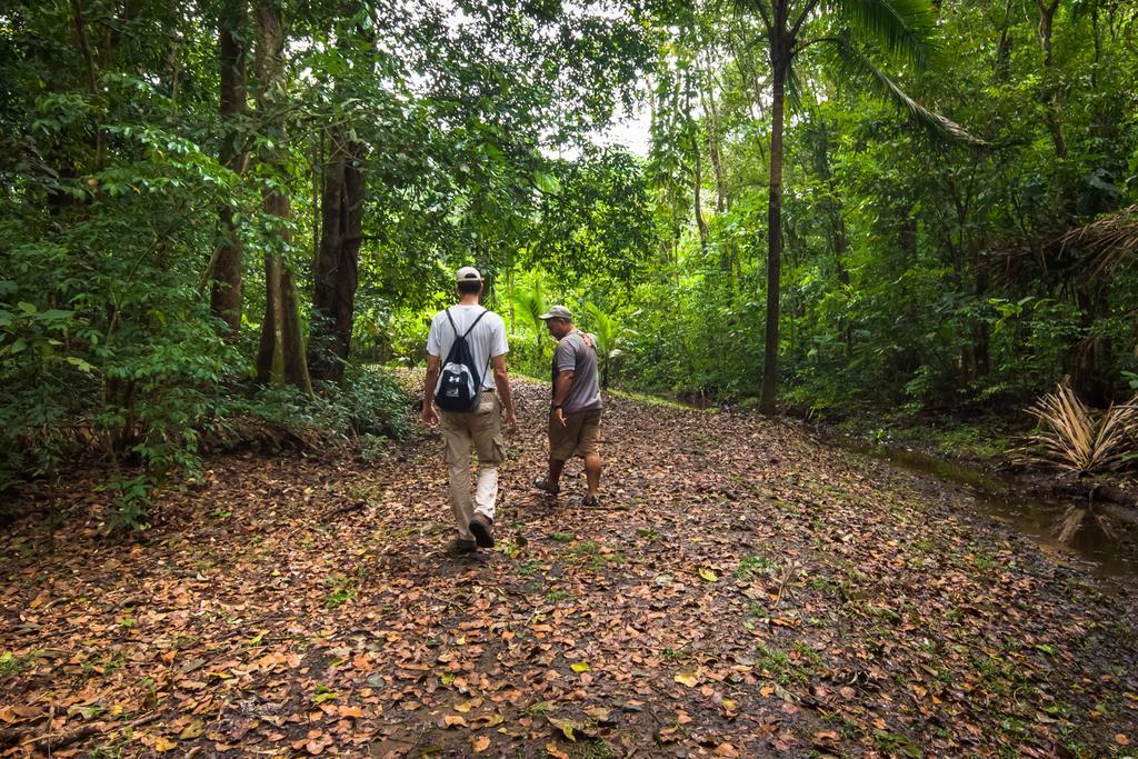 Lirio Lodge Barra de Pacuare Dış mekan fotoğraf