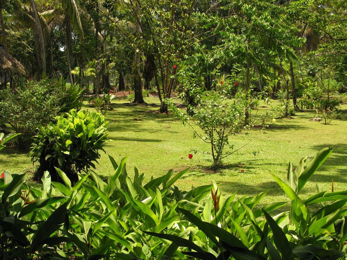Lirio Lodge Barra de Pacuare Dış mekan fotoğraf