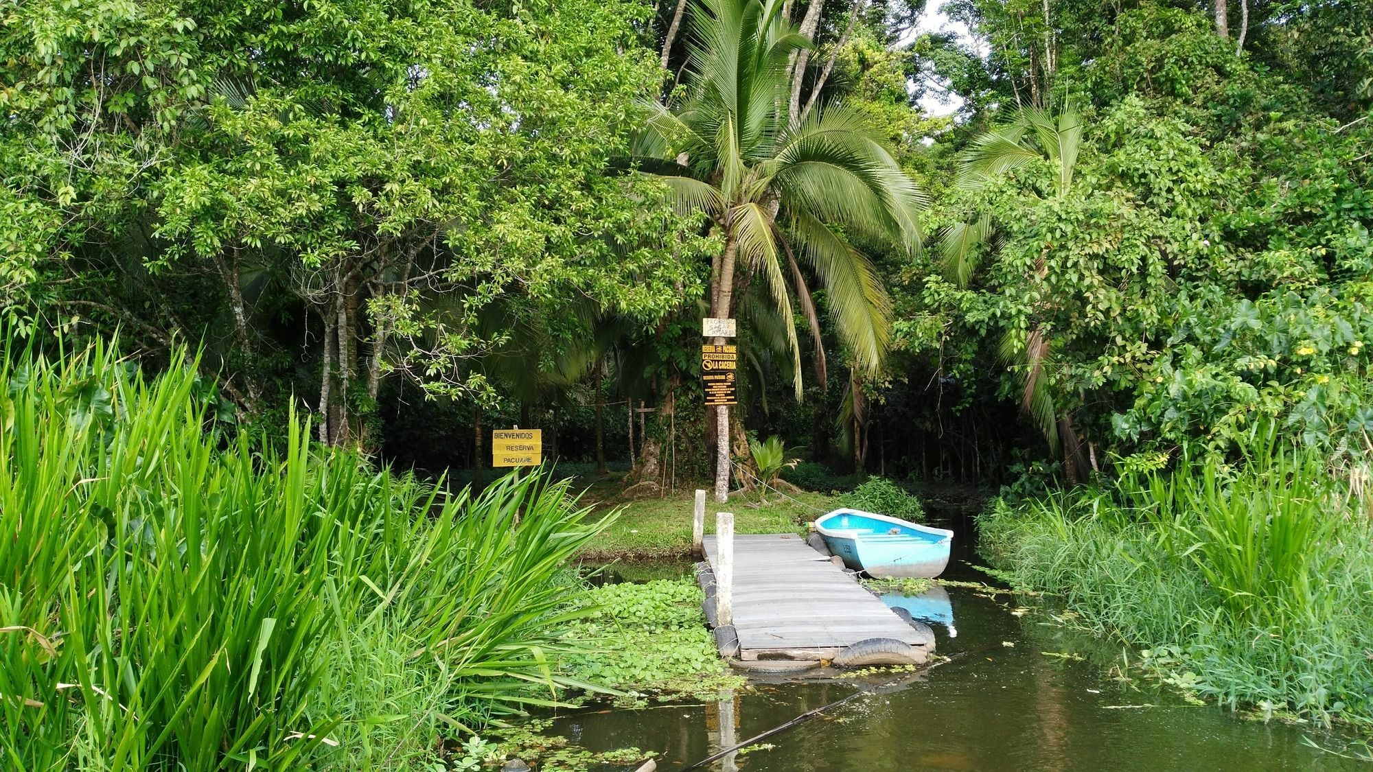 Lirio Lodge Barra de Pacuare Dış mekan fotoğraf