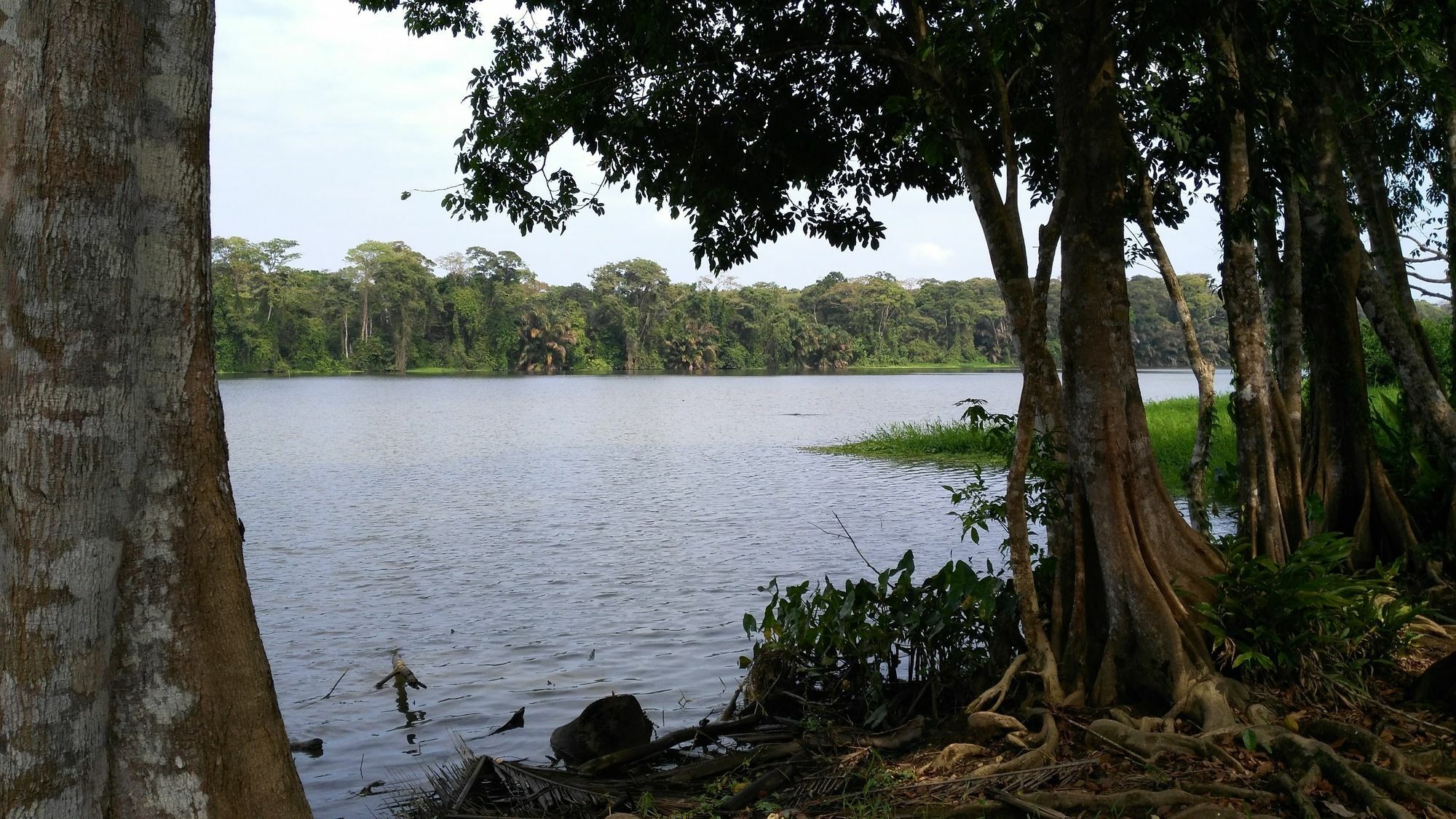 Lirio Lodge Barra de Pacuare Dış mekan fotoğraf