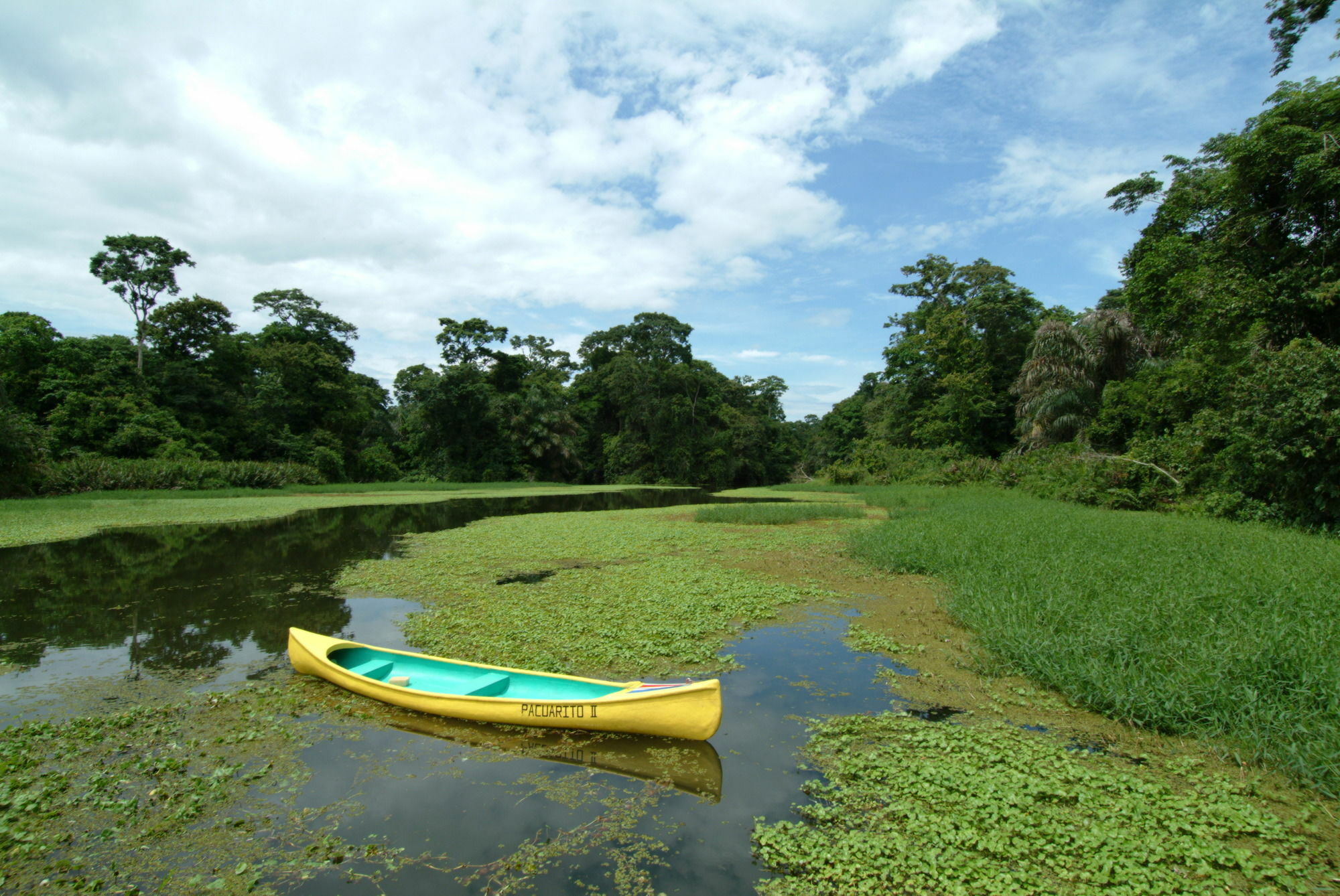 Lirio Lodge Barra de Pacuare Dış mekan fotoğraf