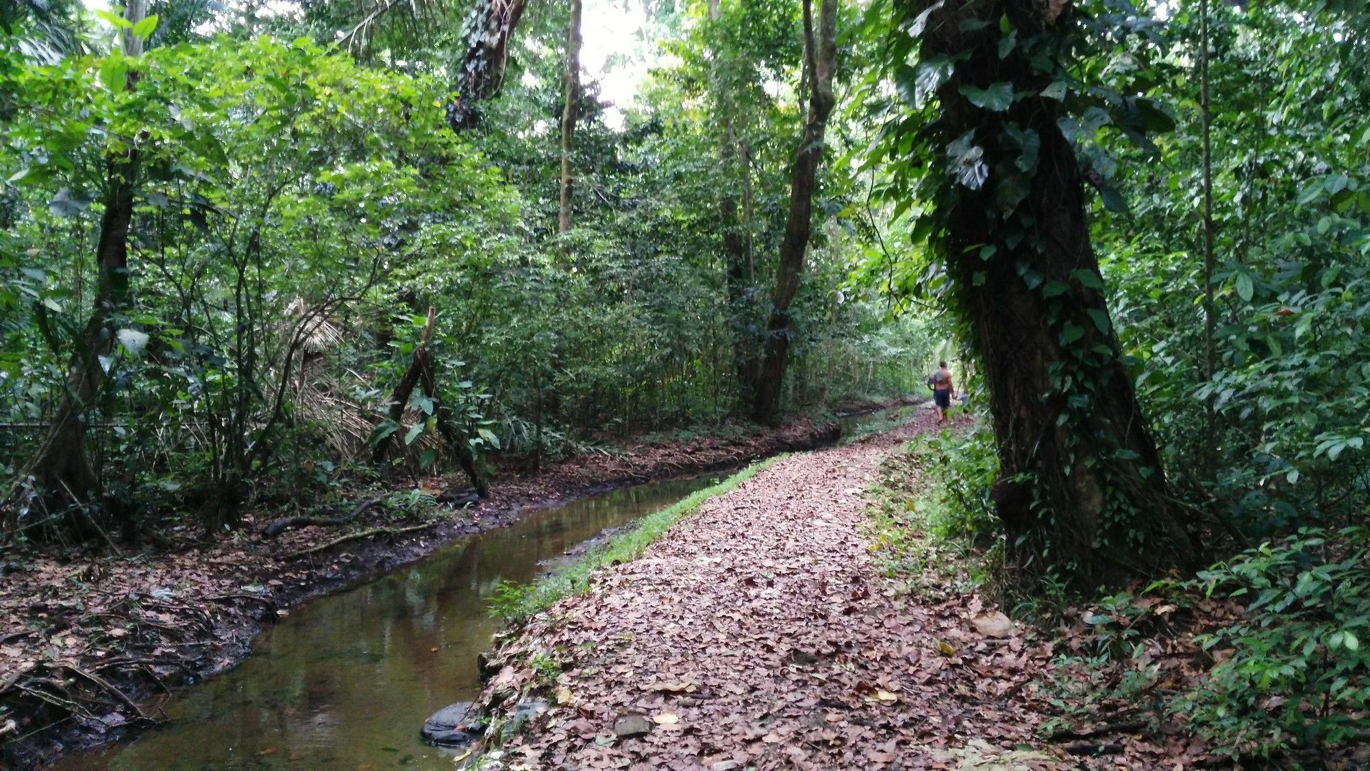 Lirio Lodge Barra de Pacuare Dış mekan fotoğraf