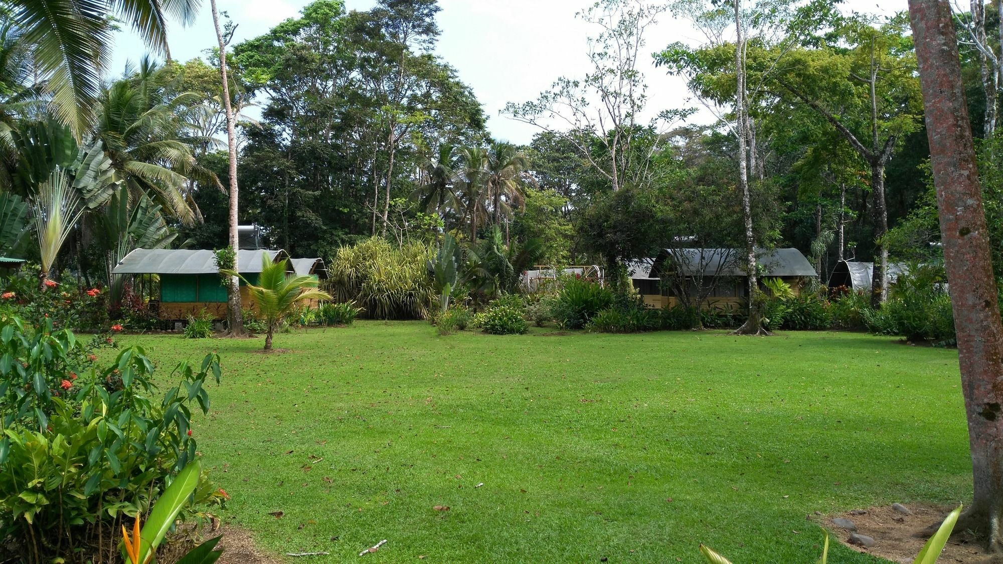 Lirio Lodge Barra de Pacuare Dış mekan fotoğraf