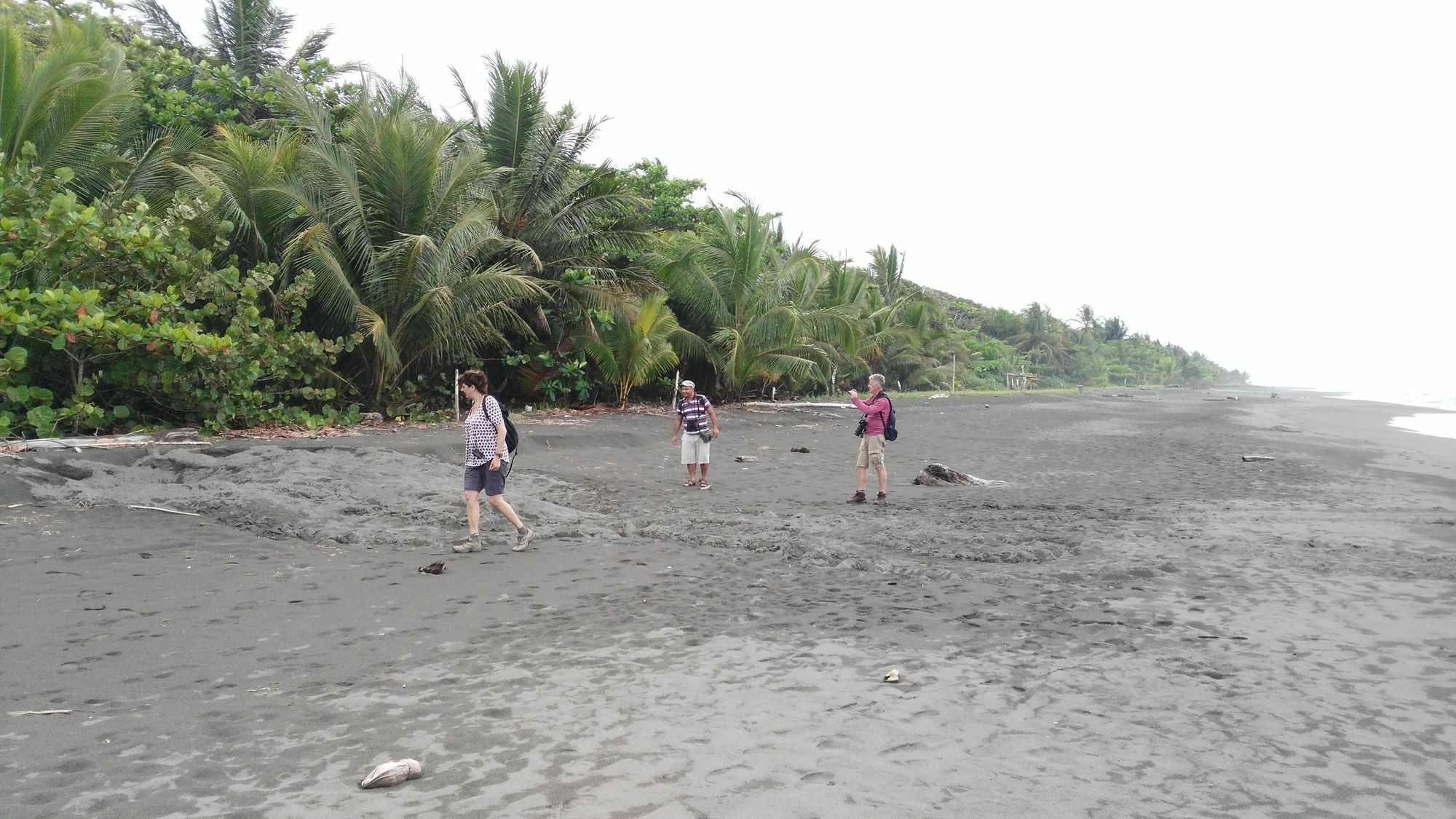 Lirio Lodge Barra de Pacuare Dış mekan fotoğraf