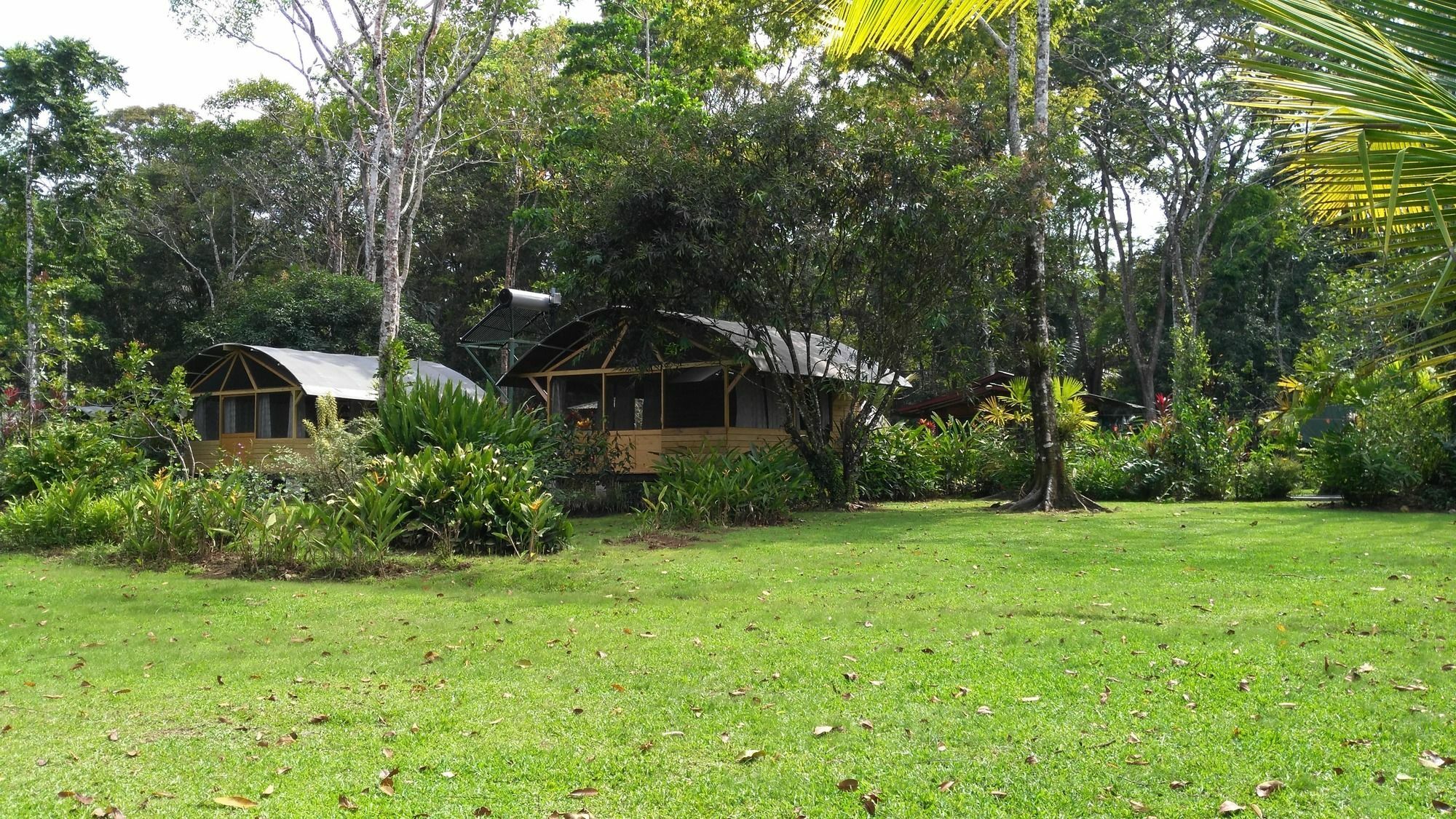 Lirio Lodge Barra de Pacuare Dış mekan fotoğraf