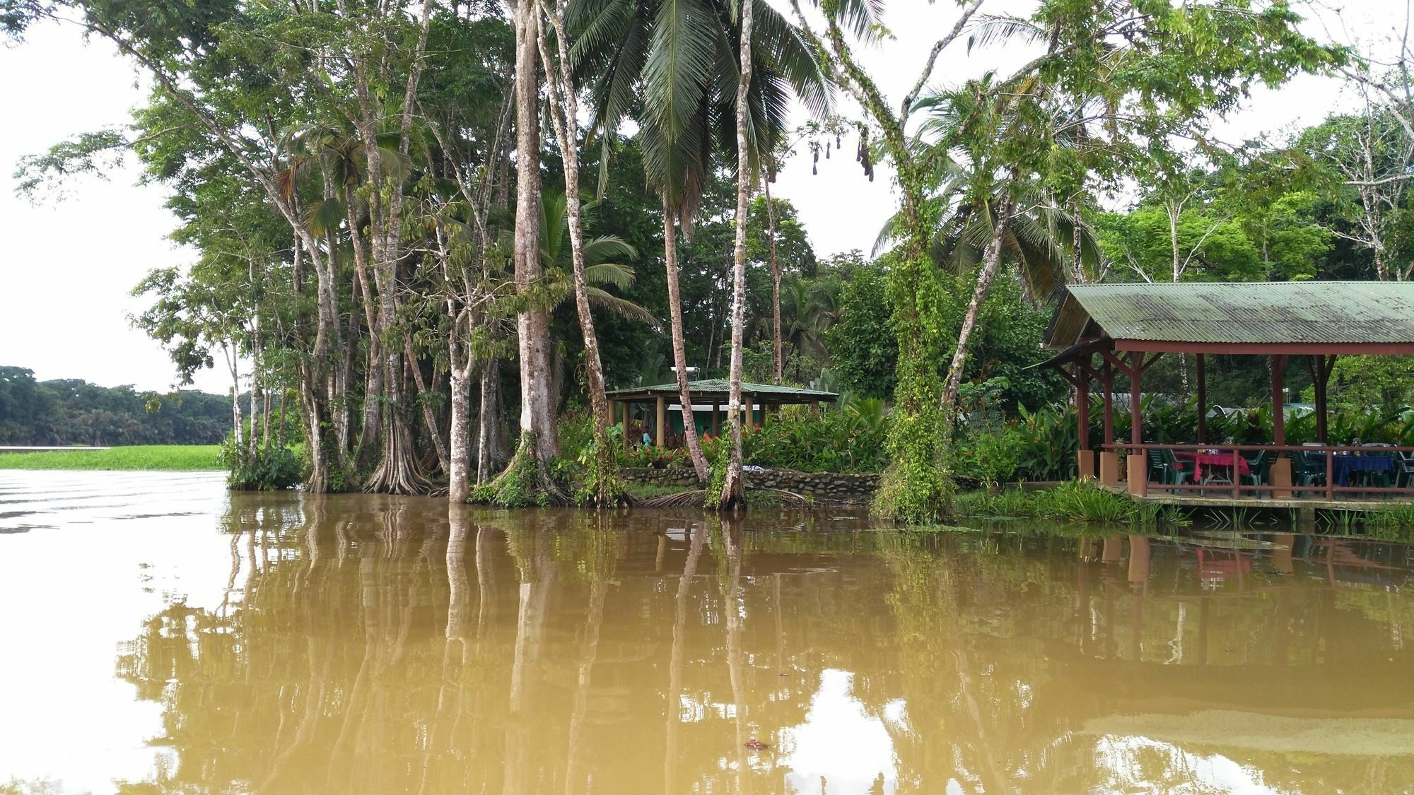 Lirio Lodge Barra de Pacuare Dış mekan fotoğraf