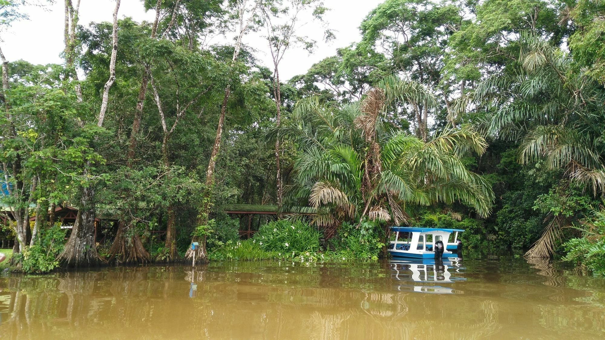 Lirio Lodge Barra de Pacuare Dış mekan fotoğraf