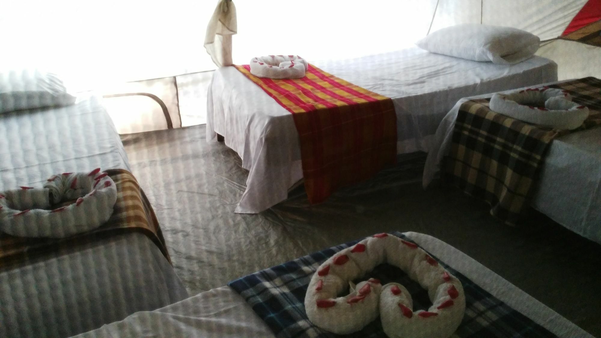 Lirio Lodge Barra de Pacuare Dış mekan fotoğraf