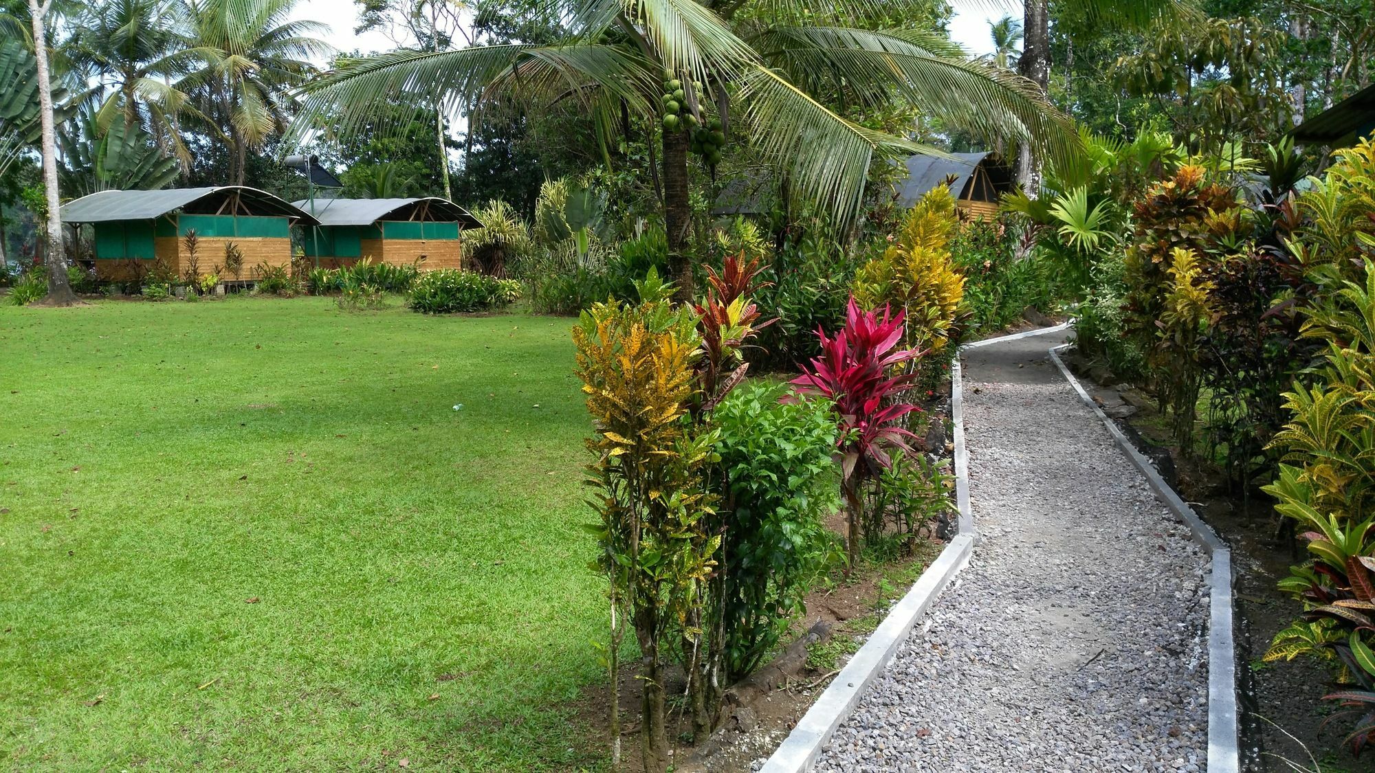 Lirio Lodge Barra de Pacuare Dış mekan fotoğraf